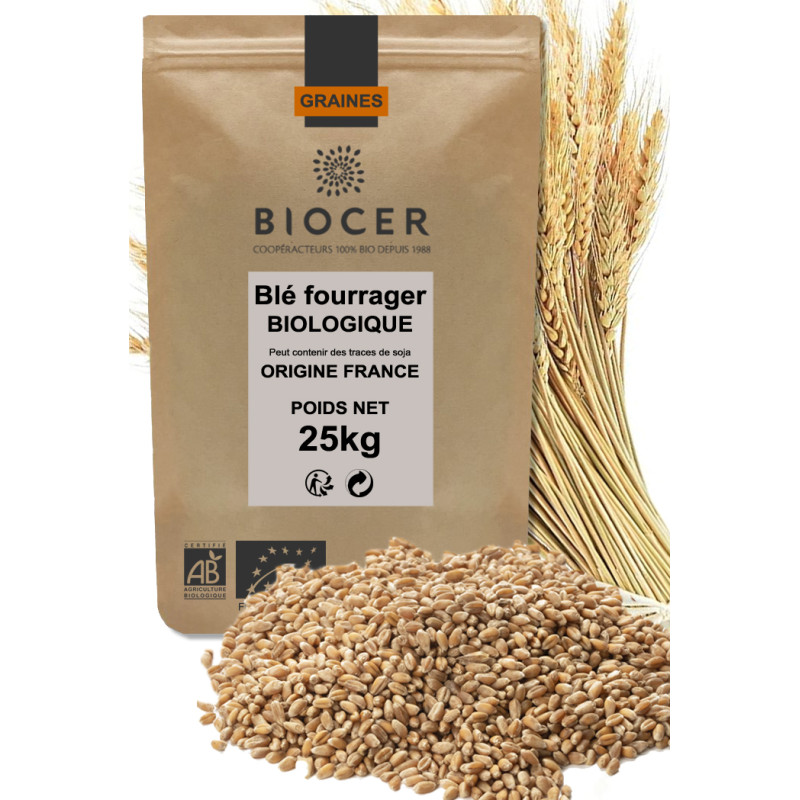Blé BIOLOGIQUE grains entiers 25kg